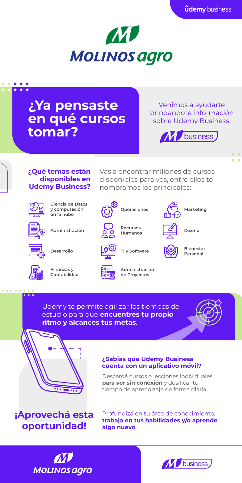 flyer-info